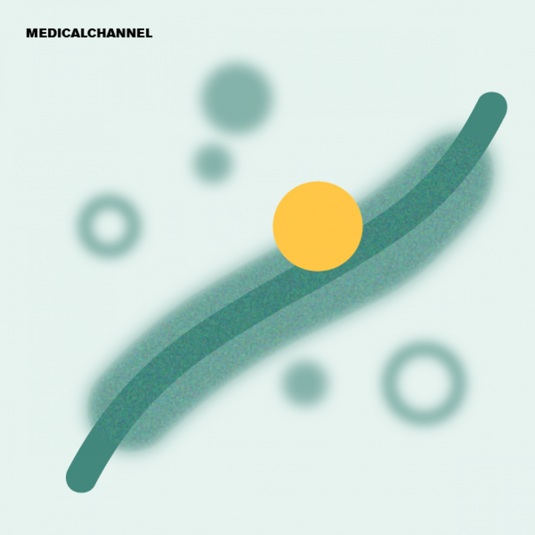 Type 2 Diabetes Mellitus. Recent Advances