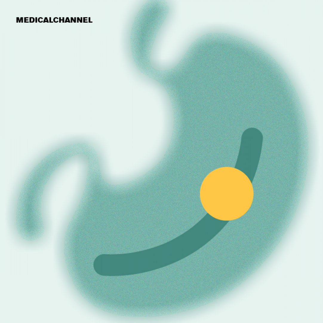 Gastroenterology Breakthroughs: From Gut Motility to Microbiota